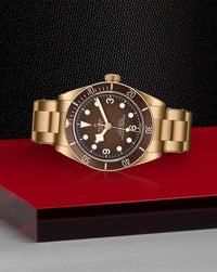 TUDOR Black Bay 58 Bronze "Boutique Edition"