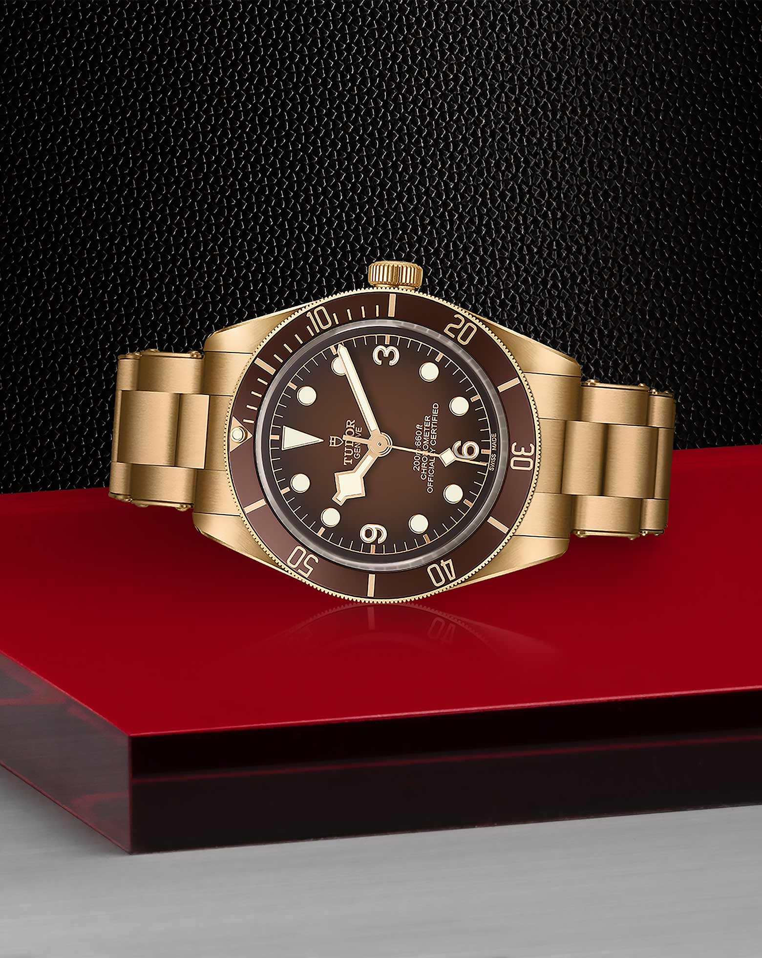 TUDOR Black Bay 58 Bronze "Boutique Edition"