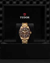 TUDOR Black Bay 58 Bronze "Boutique Edition"