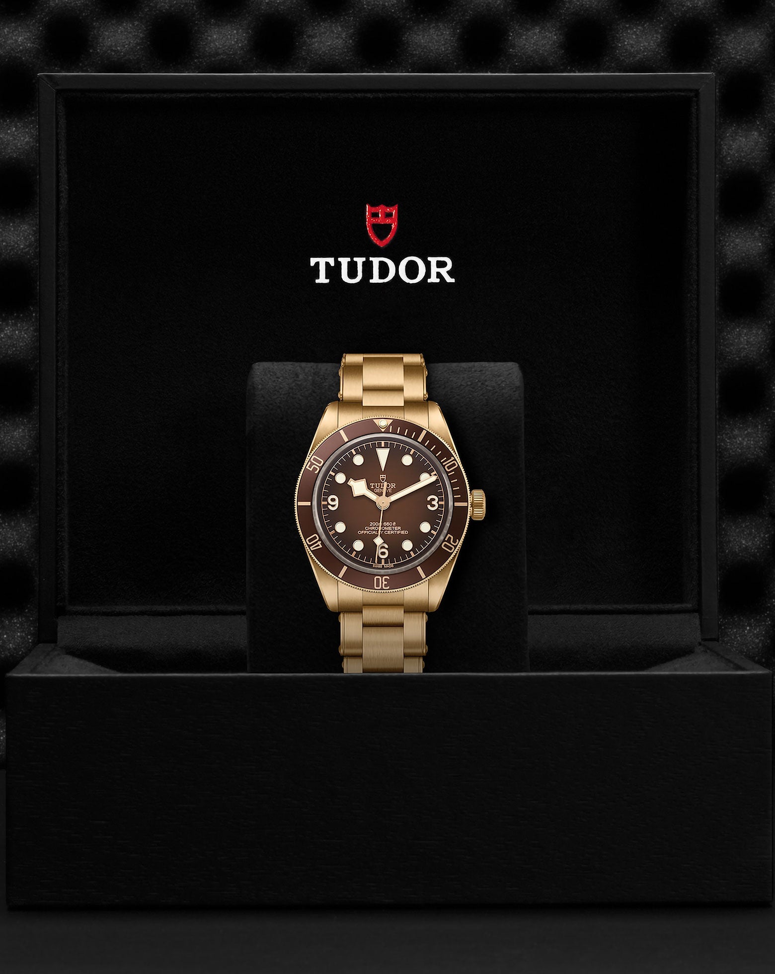 TUDOR Black Bay 58 Bronze "Boutique Edition"