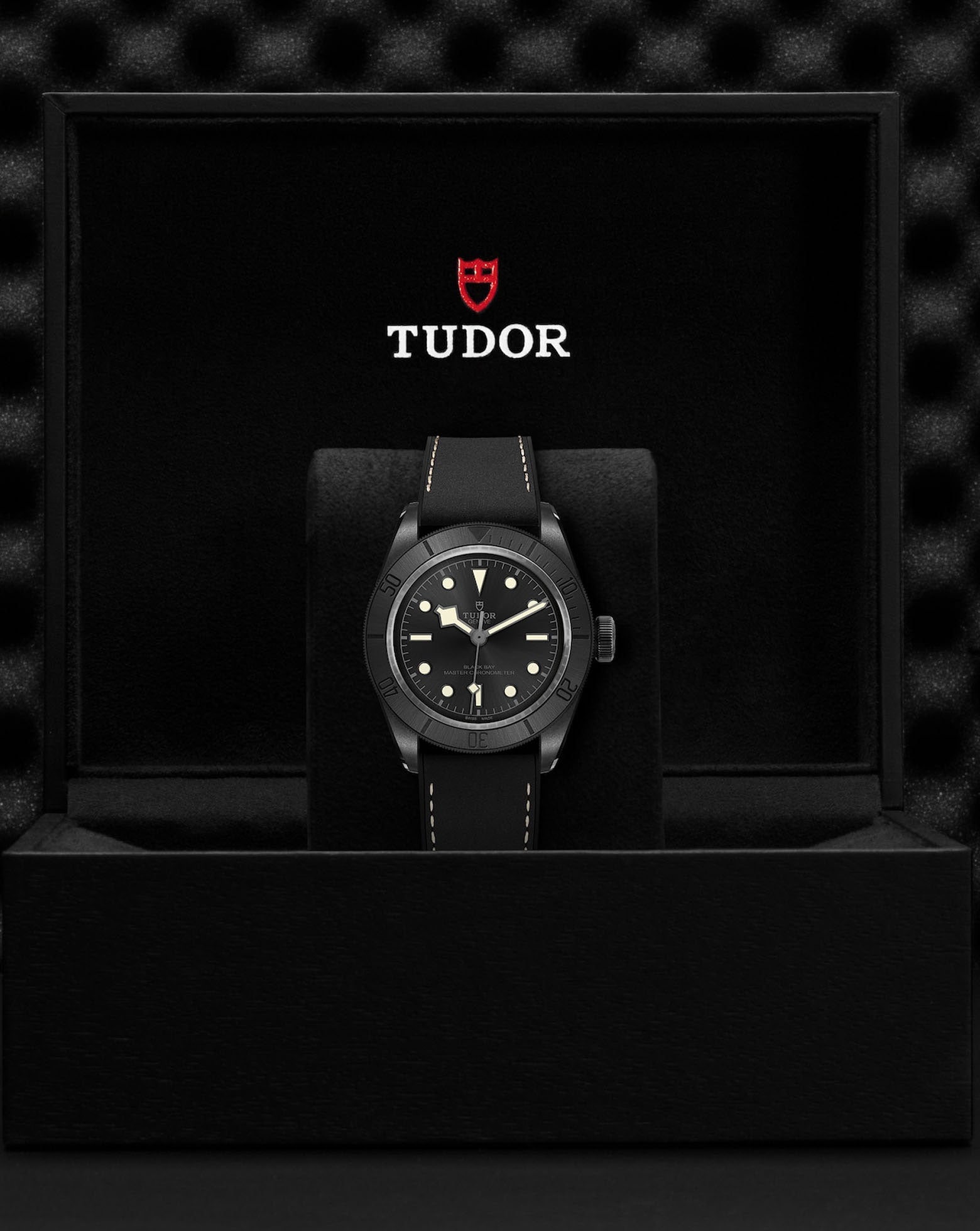 Cortina Watch Malaysia TUDOR Black Bay Ceramic 41mm M79210CNU-0001
