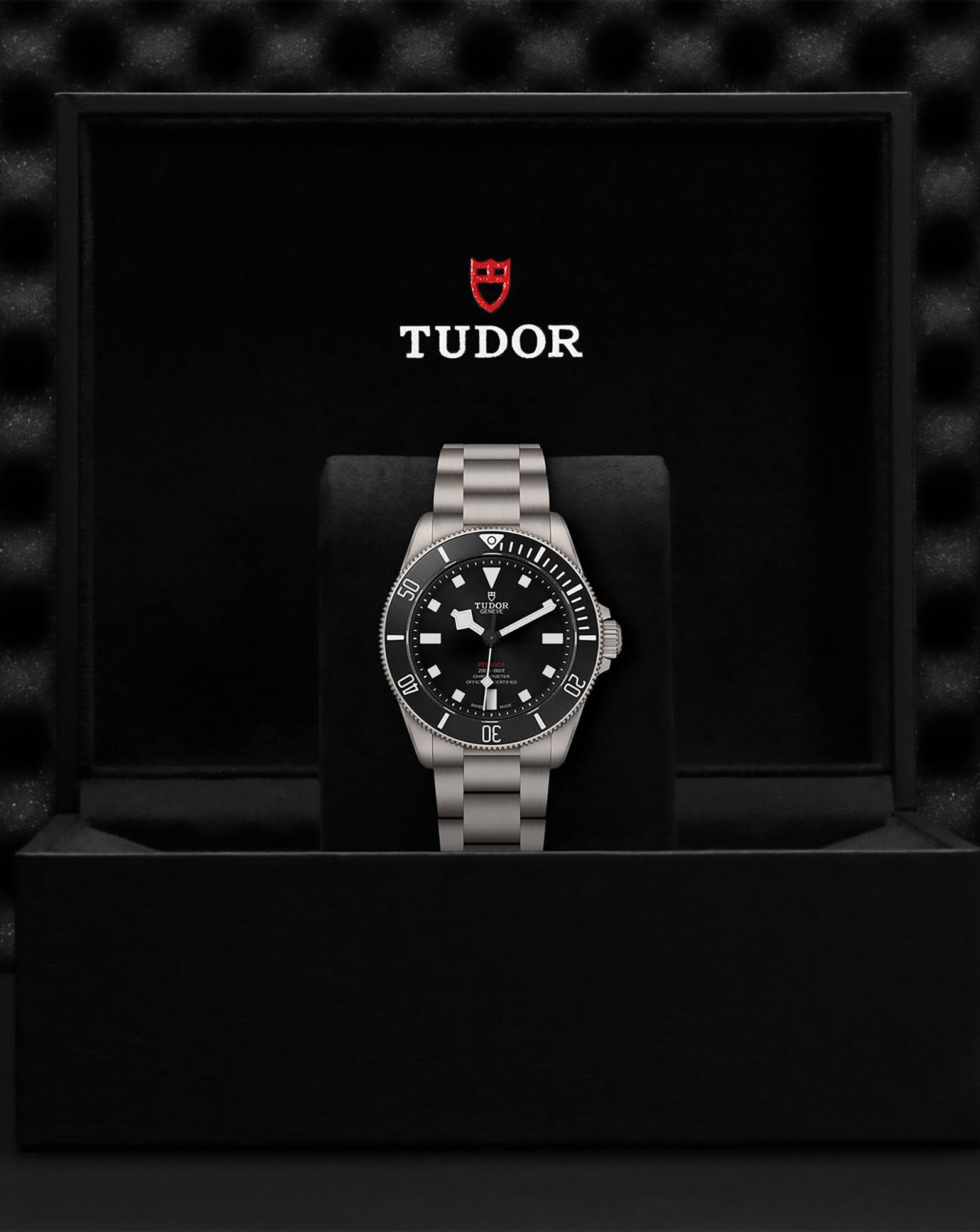 TUDOR Pelagos 39 39mm, Unidirectional Rotating Bezel, Black Dial, Titanium Bracelet